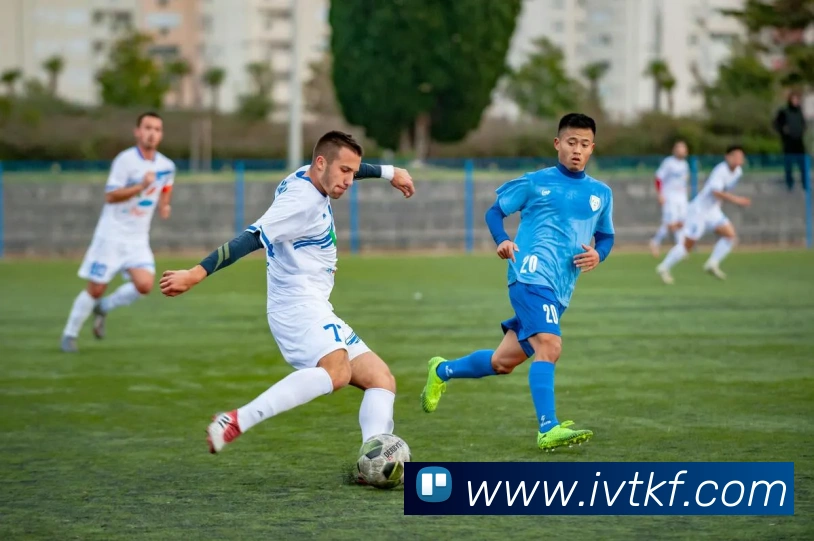 多媒体互动体验